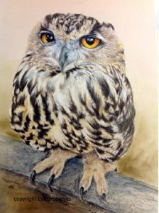 Hooty from Malta CP e-Packet